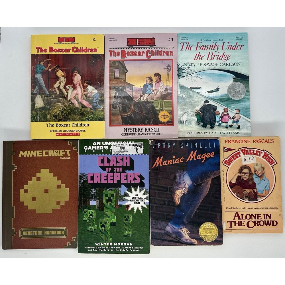 Lot of 13 Kids Books Boxcar Children Minecraft Judy Blume Maniac Magee Yoda